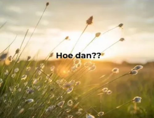 Terug van weggeweest