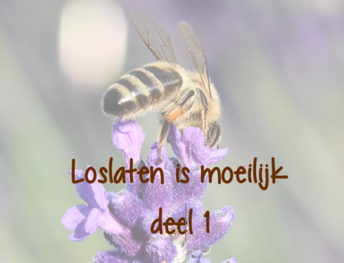 Loslaten is moeilijk deel 1